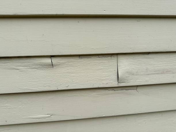 Siding Removal and Disposal in Yellow Springs, OH